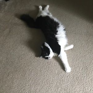 Meet your Posher, Juliann